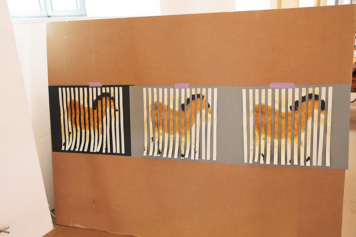 soak-bk-23-andreas-kotulla-21