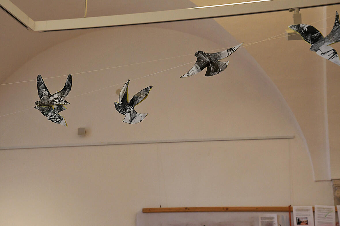 soak-bk-23-meike-doelp-6