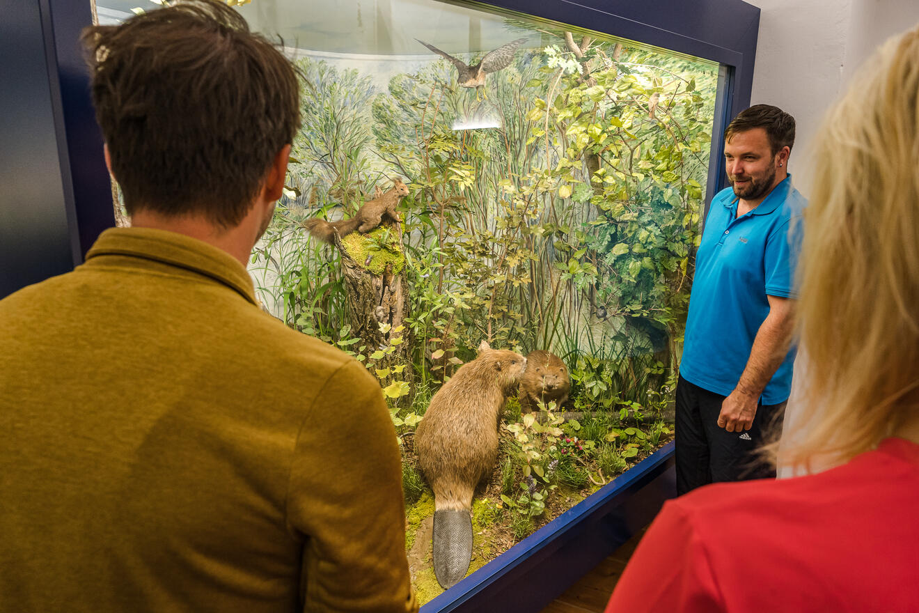 2021-auenzentrum-ausstellung-tiere-05-c-deusche-donau-maximilian-semsch-m-gen-waf