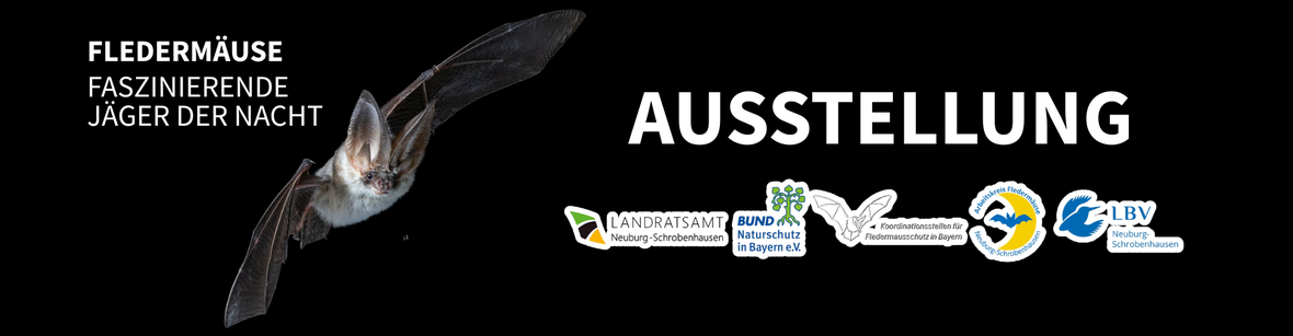 banner_fledermaus_ausstellung